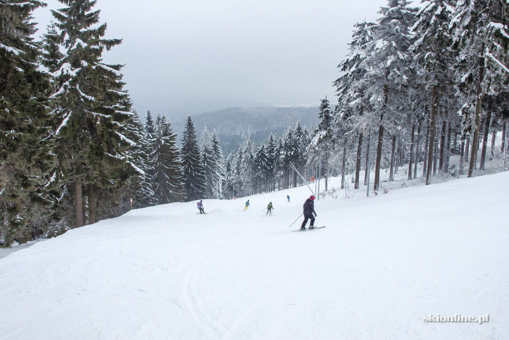 Galeria: Zieleniec Ski Arena - Nartorama, zima w pełni