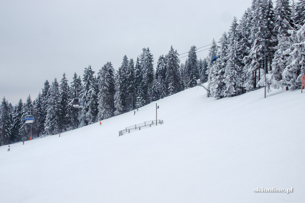 Galeria: Zieleniec Ski Arena - Nartorama, zima w pełni