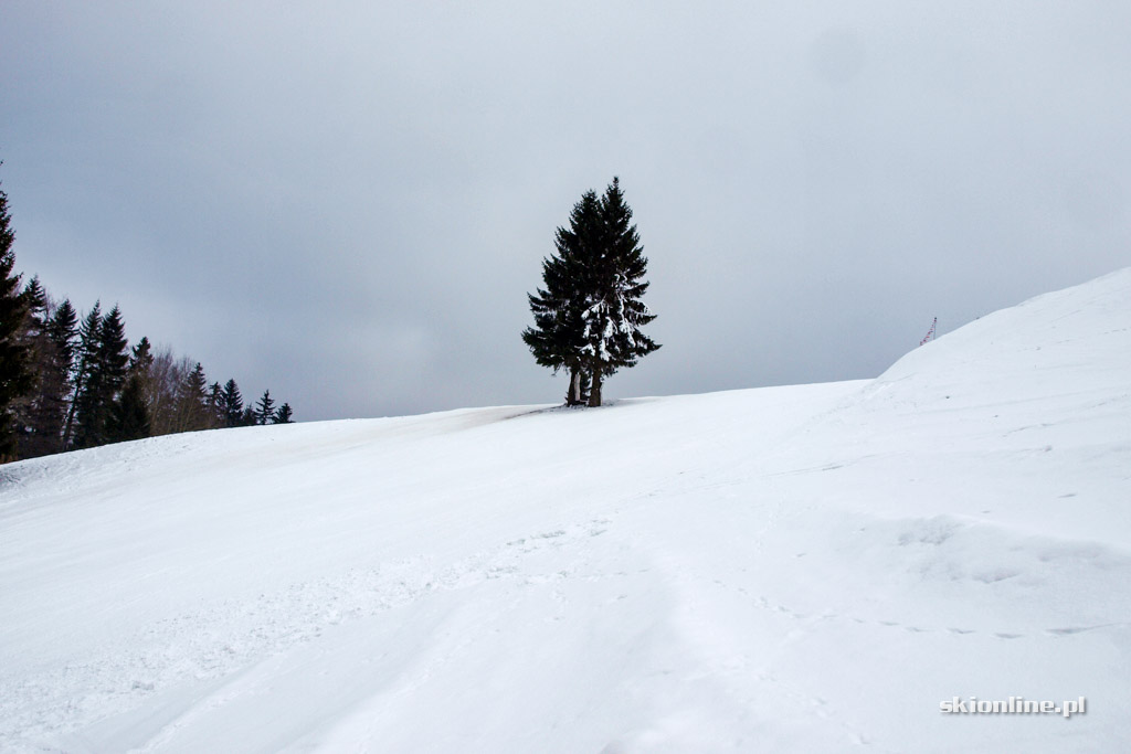 Galeria: Zieleniec Ski Arena - Winterpol, zima w pełni