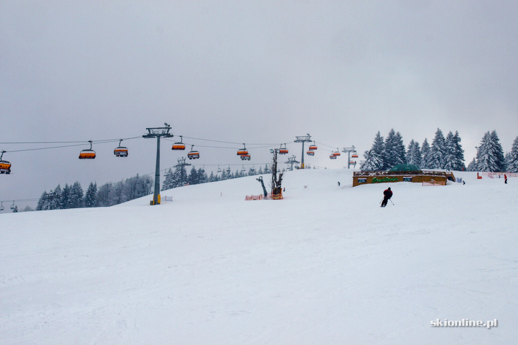 Galeria: Zieleniec Ski Arena - Winterpol, zima w pełni