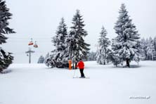 Zieleniec Ski Arena - Winterpol, zima w pełni
