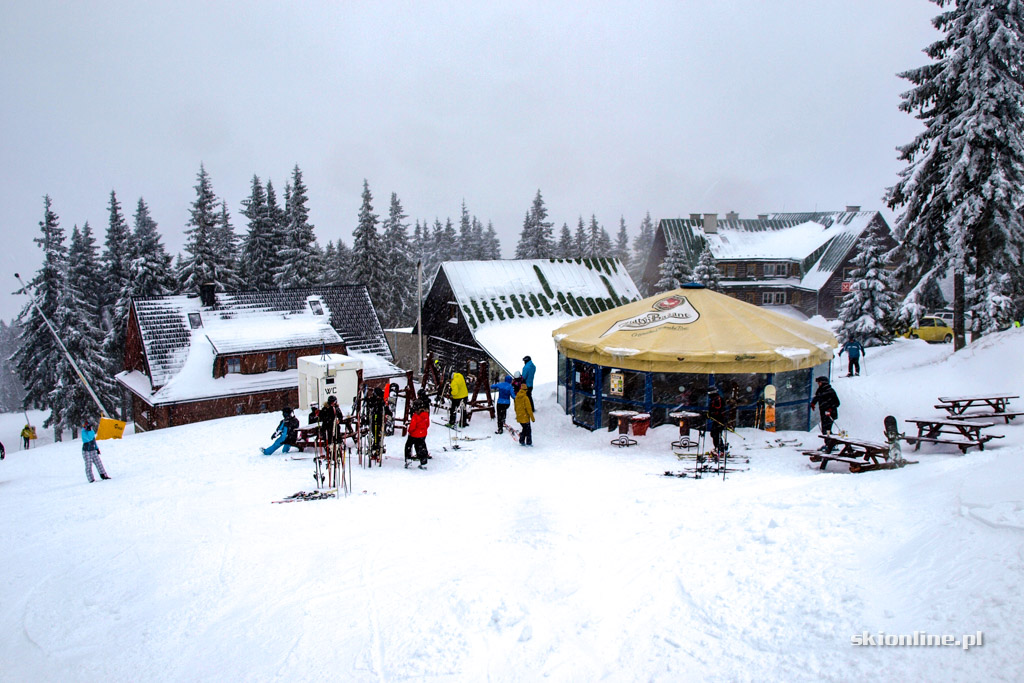 Galeria: Winter Park Martinky