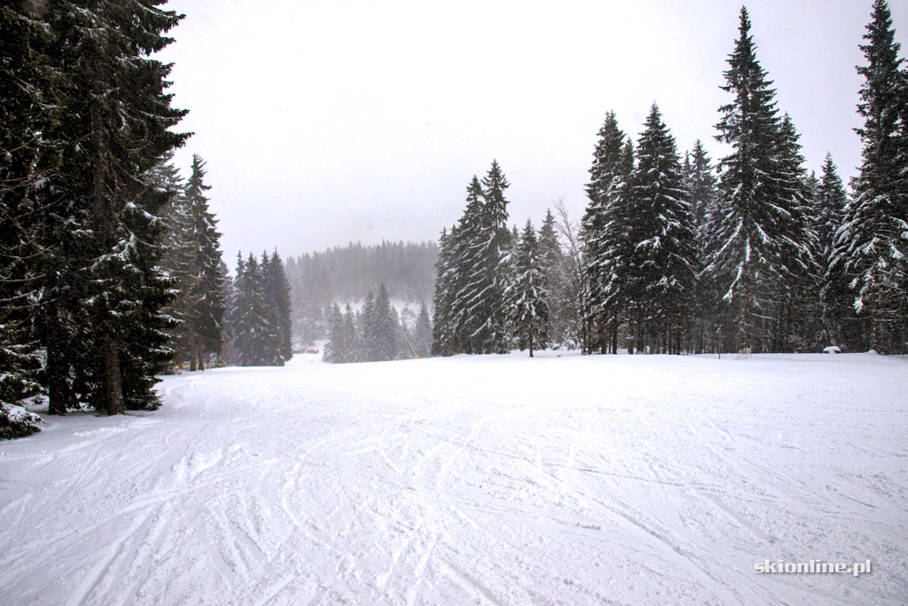 Galeria: Winter Park Martinky
