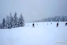 Winter Park Martinky
