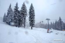 Winter Park Martinky