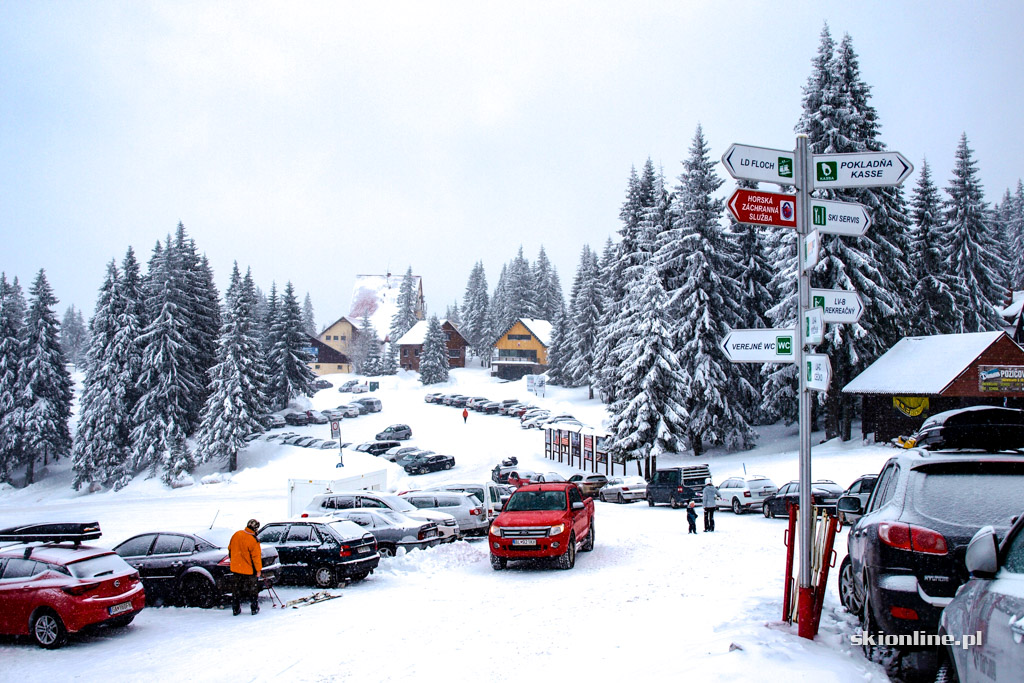 Galeria: Winter Park Martinky