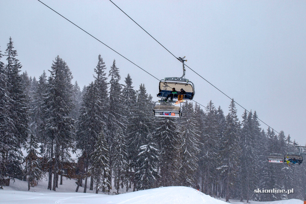 Galeria: Winter Park Martinky