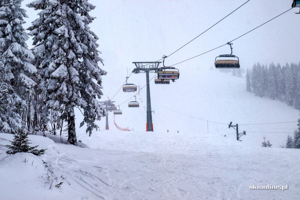 Galeria: Winter Park Martinky