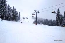 Winter Park Martinky