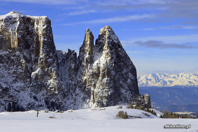 Galeria: Alpe di Siusi narty z mieszkaniem na stoku