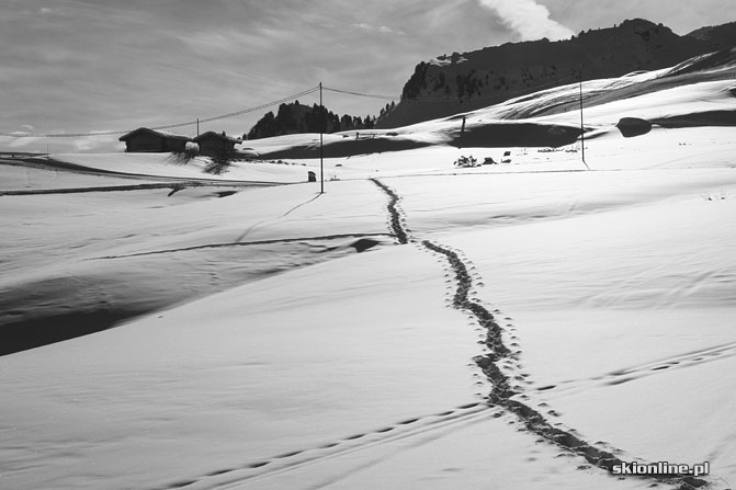 Galeria: Alpe di Siusi narty z mieszkaniem na stoku