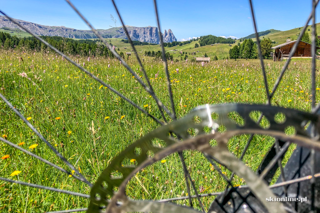 Galeria: Rowerem przez Południowy Tyrol - Seiser Alm