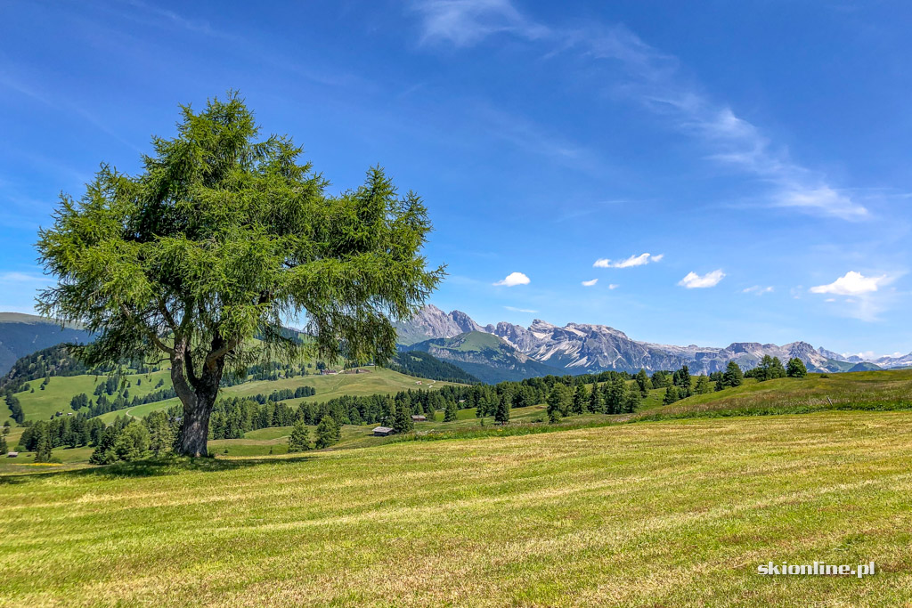 Galeria: Rowerem przez Południowy Tyrol - Seiser Alm