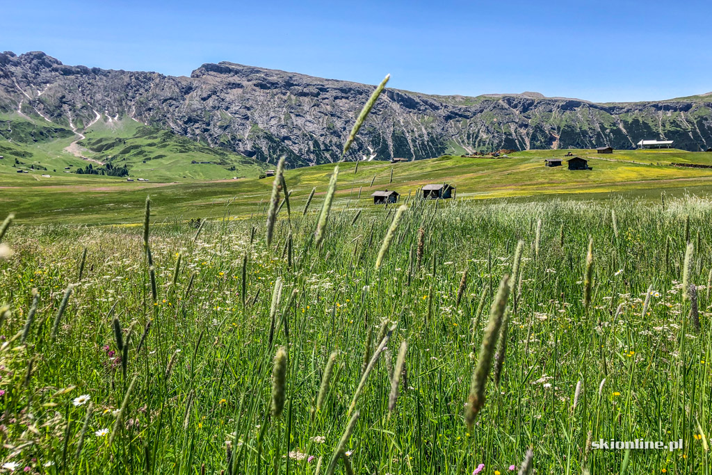 Galeria: Rowerem przez Południowy Tyrol - Seiser Alm