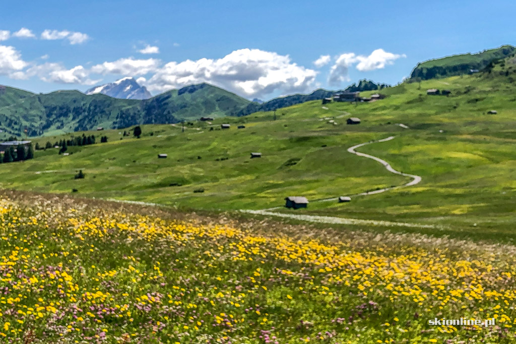 Galeria: Rowerem przez Południowy Tyrol - Seiser Alm