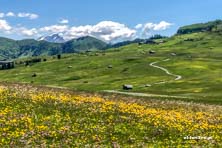Rowerem przez Południowy Tyrol - Seiser Alm