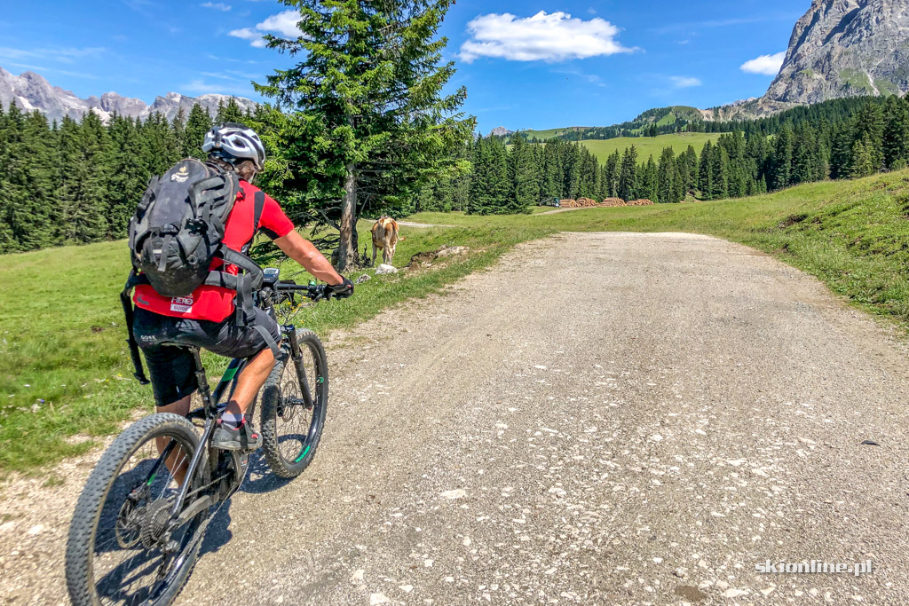 Galeria: Rowerem przez Południowy Tyrol - Seiser Alm