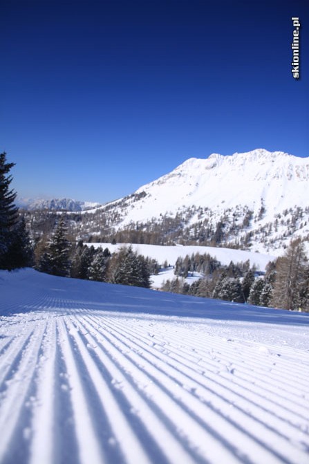 Galeria: Trentino - Alpe Lusia - Moena - Bellamonte