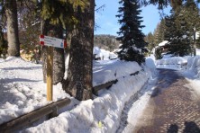 Madonna di Campiglio - Pradalago i Cingue Laghi