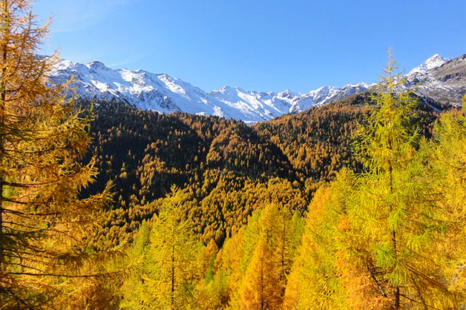 Galeria: Jesień w Maso Corto - Południowy Tyrol, Włochy