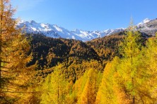 Jesień w Maso Corto - Południowy Tyrol, Włochy