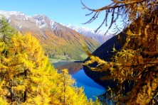 Jesień w Maso Corto - Południowy Tyrol, Włochy