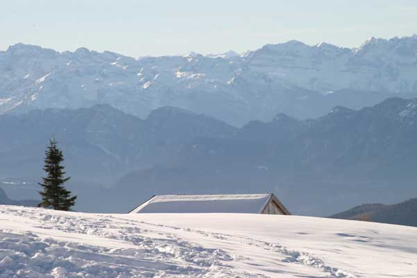 Galeria: Val di Fiemme - Lavaze-Oclini