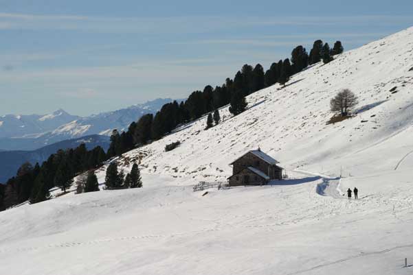 Galeria: Val di Fiemme - Lavaze-Oclini