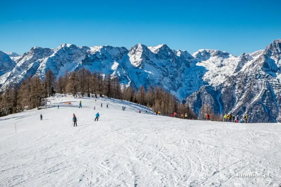 Szeroki stok w Hinterstoder z widokiem na Totes Gebirge