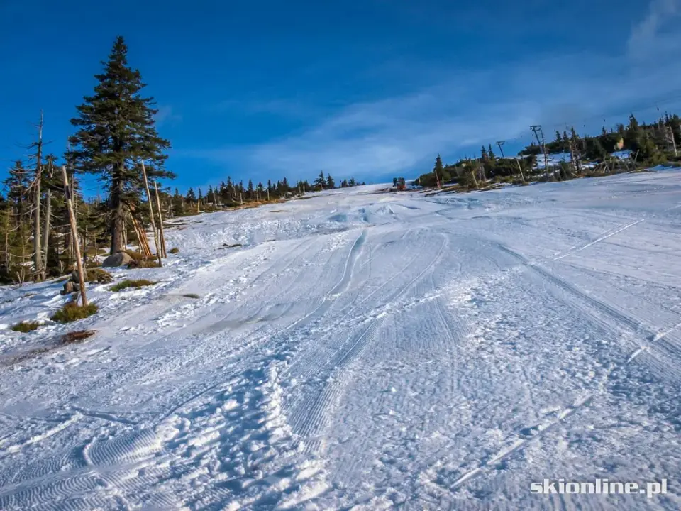 Trasa na Szrenicy wśród ośnieżonego lasu
