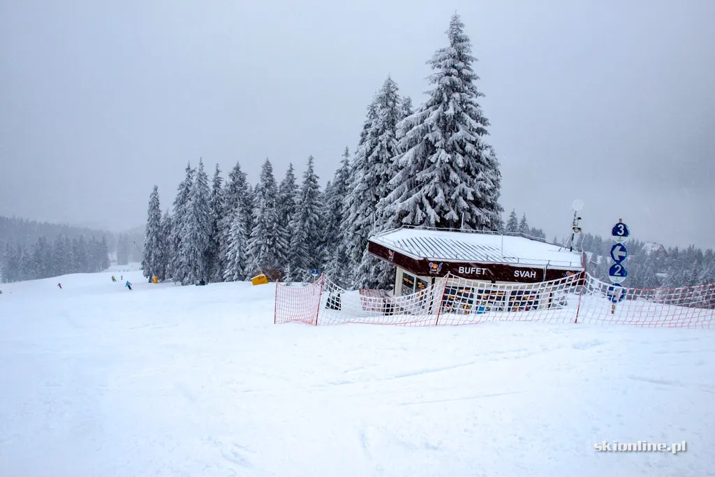 Winter Park Martinky, zdjęcie 3