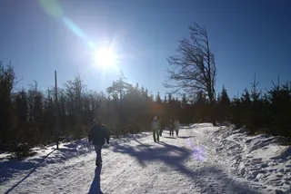 Beskidy: Szyndzielnia i Klimczok, zdjęcie 18