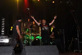 Polskie Dni 2009: koncert IRA, zdjęcie 5