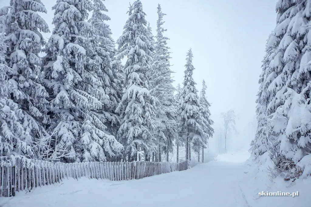 Szczyrk Mountain Resort. Sezon 18/19 otwarty, zdjęcie 19