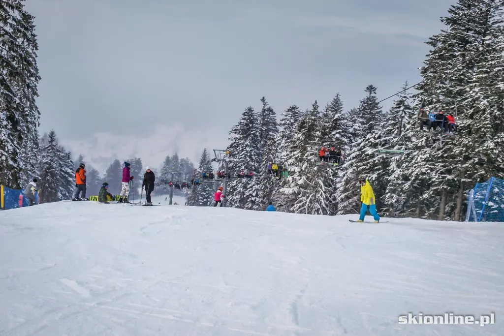 Dwie Doliny warunki narciarskie 2.01.2015, zdjęcie 5