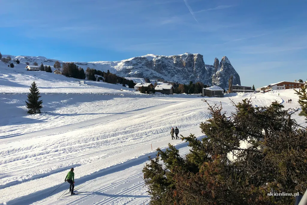 Seiser Alm / Alpe di Siusi, zdjęcie 21