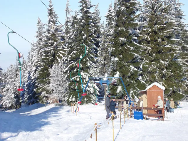 Zima w Beskidach: Szyndzielnia, zdjęcie 29
