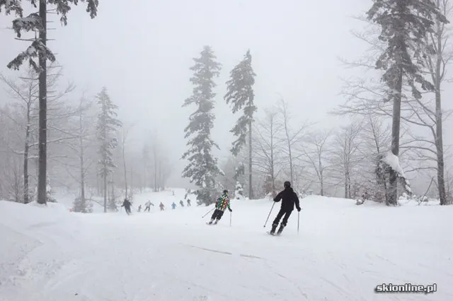 Szczyrk: SON 14.01.2012, zdjęcie 21