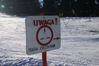 Beskidy: Szyndzielnia i Klimczok, zdjęcie 7