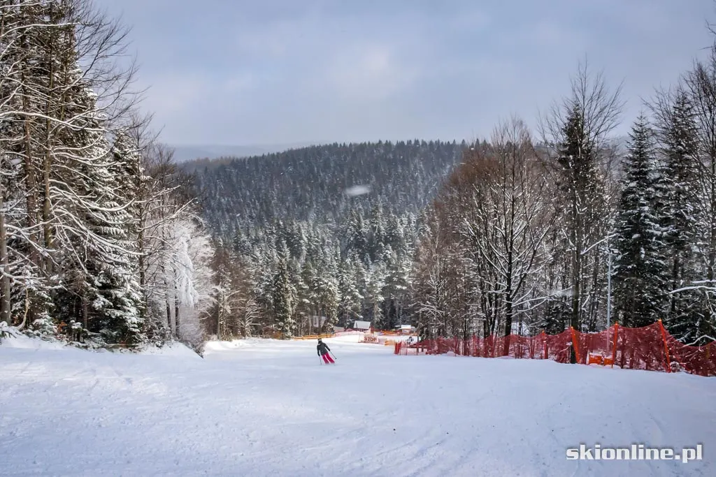Magura Ski Park. Styczeń 2016, zdjęcie 15