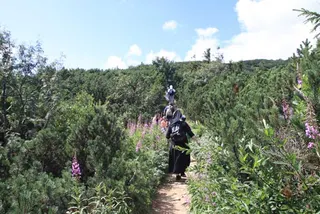 Czerwonym na Babią Górę 1725 m, zdjęcie 16