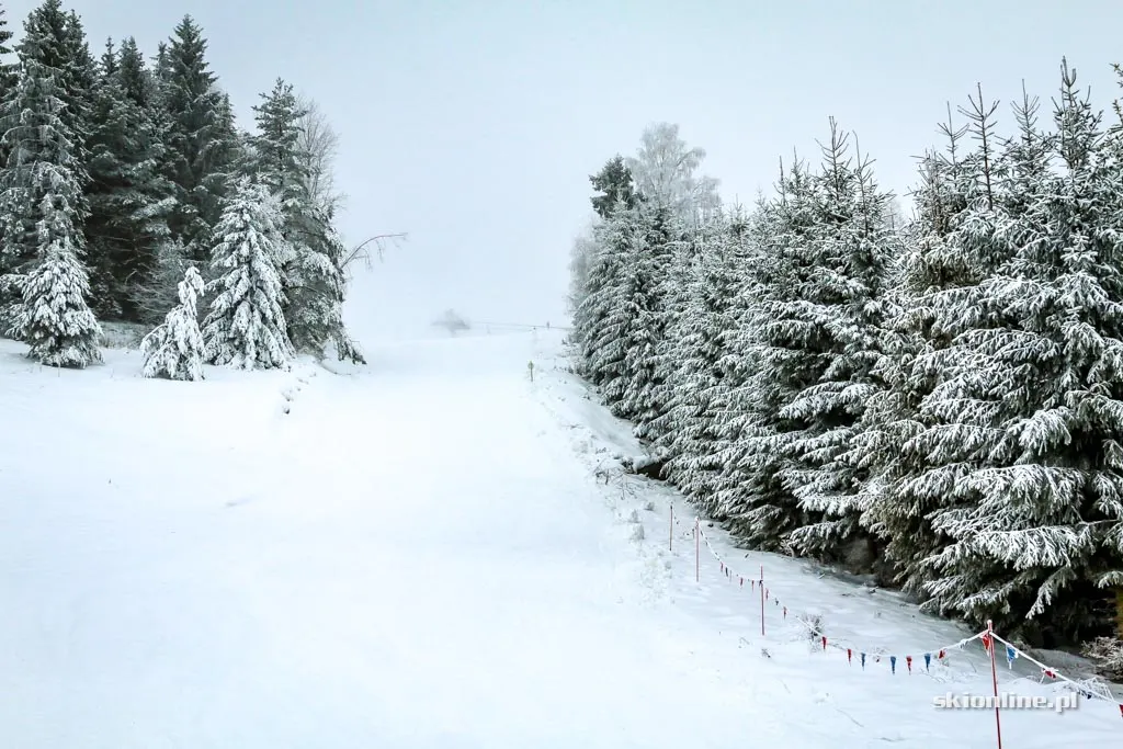 Tylicz, stacja Master-Ski: grudzień 2016, zdjęcie 18
