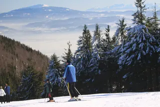 Beskidy: Szyndzielnia i Klimczok, zdjęcie 27