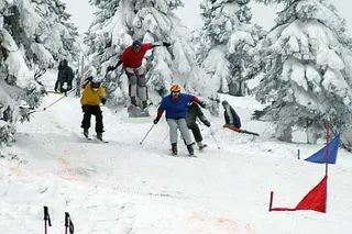 Zdjęcie 40 z galerii Lot Charters Ski Cross