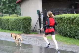 Salomon Trai Running: Góra Żar, zdjęcie 73