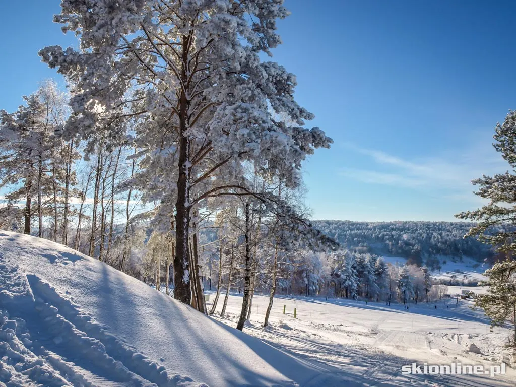 Arłamów: warunki narciarskie 2014.12.31, zdjęcie 19
