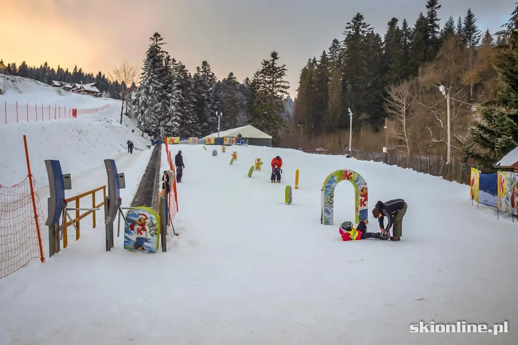 Krynica Henryk Ski: styczeń 2016, zdjęcie 14