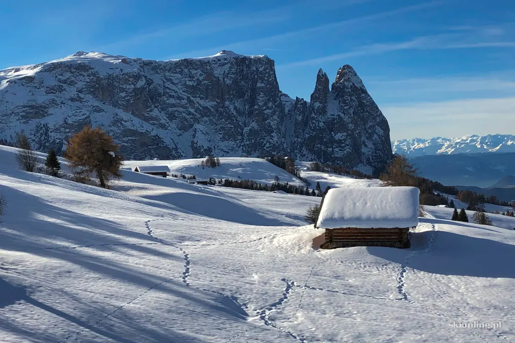 Seiser Alm / Alpe di Siusi: grudzień 2019
