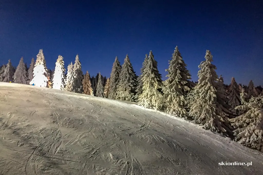 Zieleniec Ski Arena: w świetle księżyca, zdjęcie 25