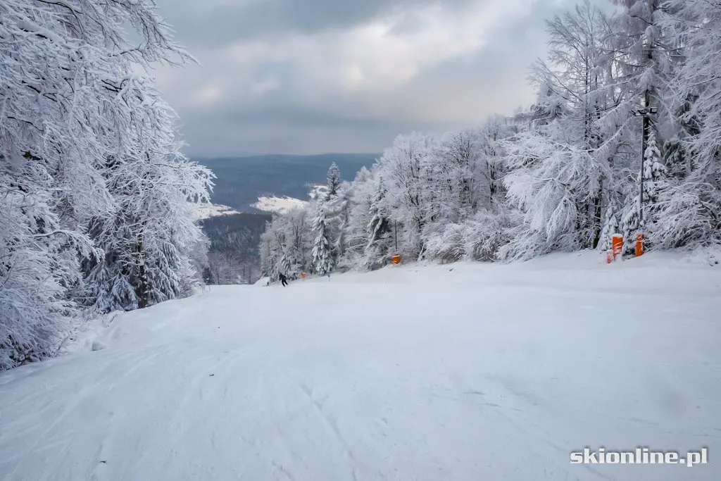 Magura Ski Park. Styczeń 2016, zdjęcie 11